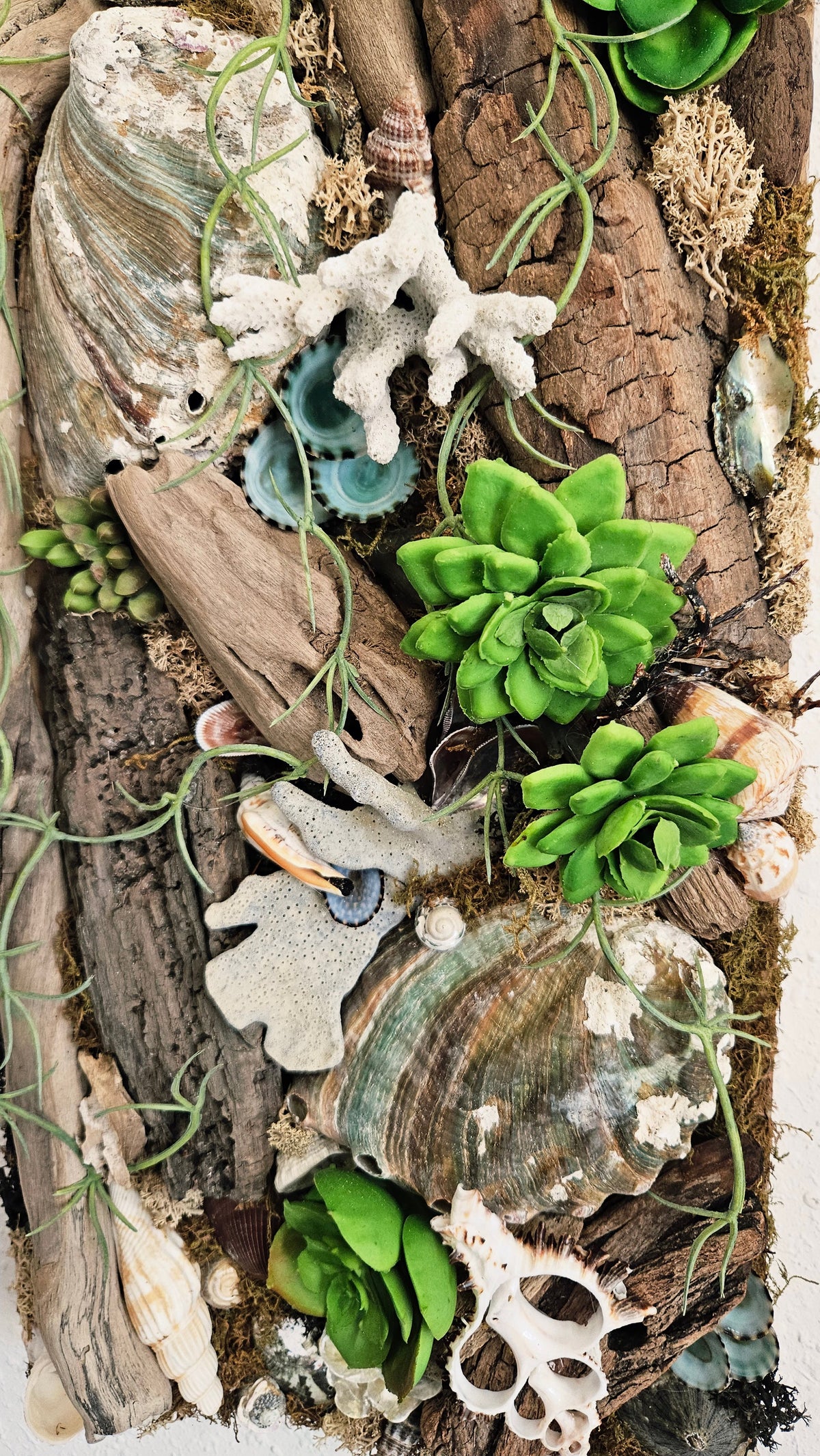 Pair of Coastal Driftwood & Succulent Mixed Media Wall Art Panels - 22.5"