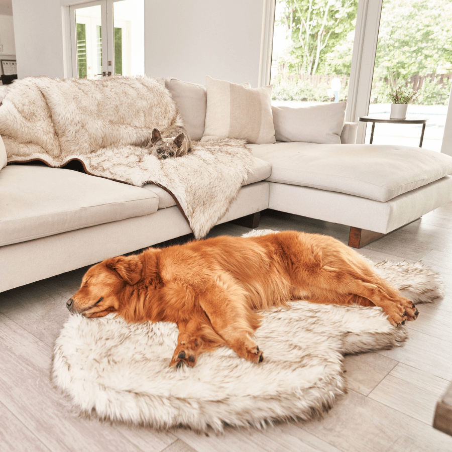 Cuccia ortopedica per cani in pelliccia sintetica PupRug di Paw.com® - Modello Curve bianco con dettagli marroni