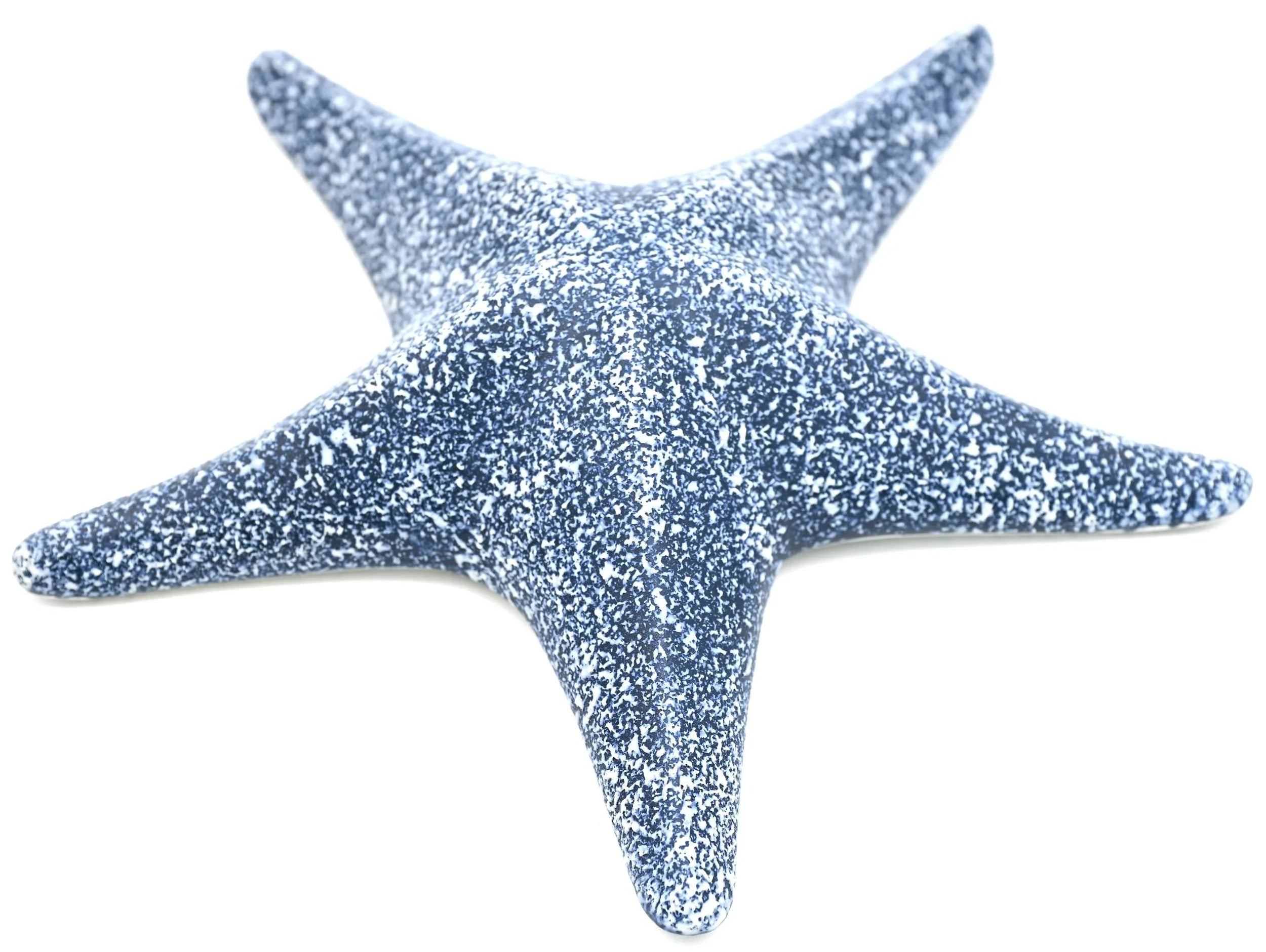 Seaside Serenity Porcelain Starfish Decorative Accent
