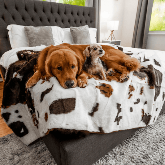Coperta impermeabile PupProtector™ - Finta pelle bovina marrone