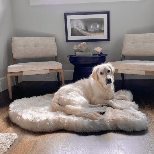 Cuccia ortopedica per cani in pelliccia sintetica PupRug di Paw.com® - Modello Curve bianco con dettagli marroni