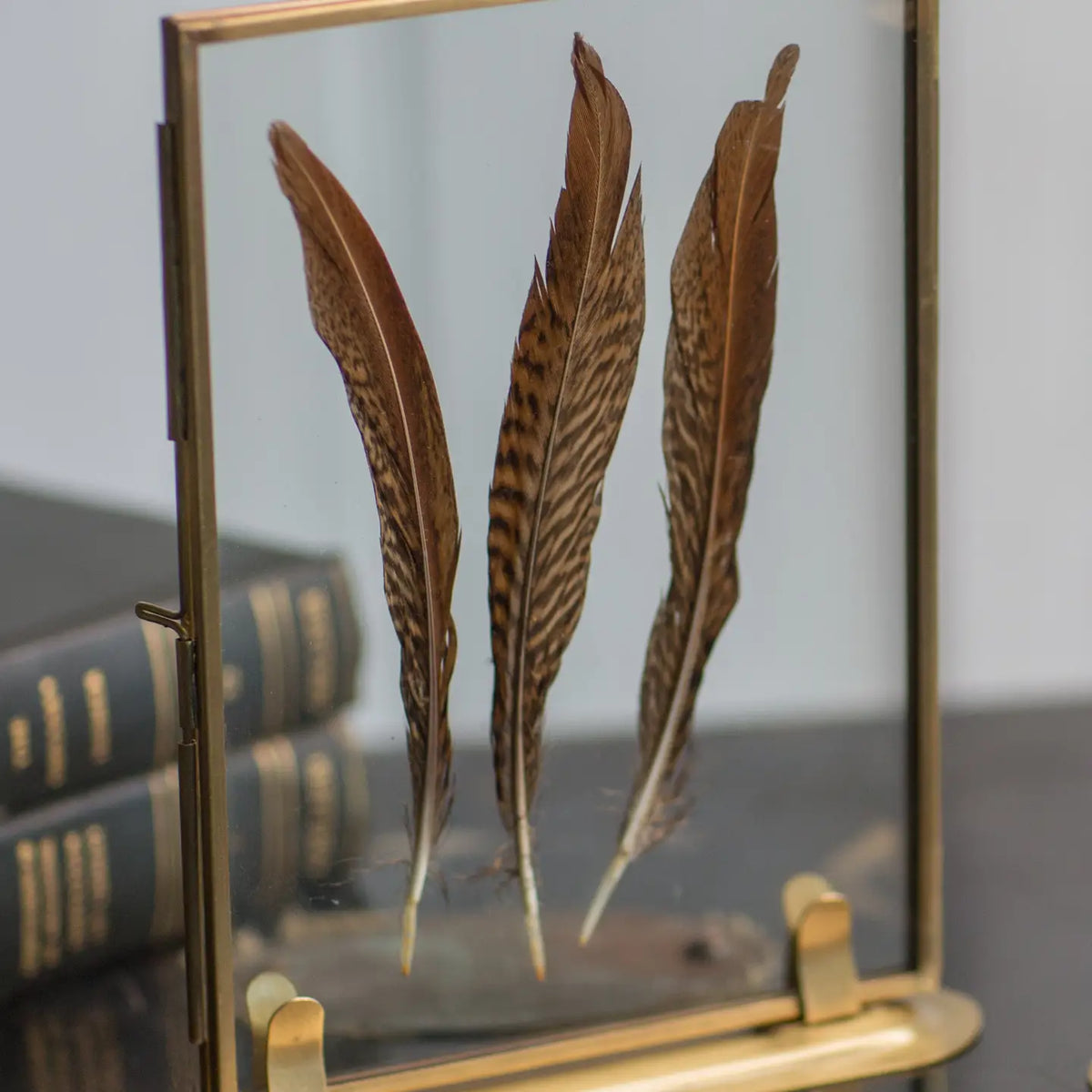 Solid Brass Frame with Stand