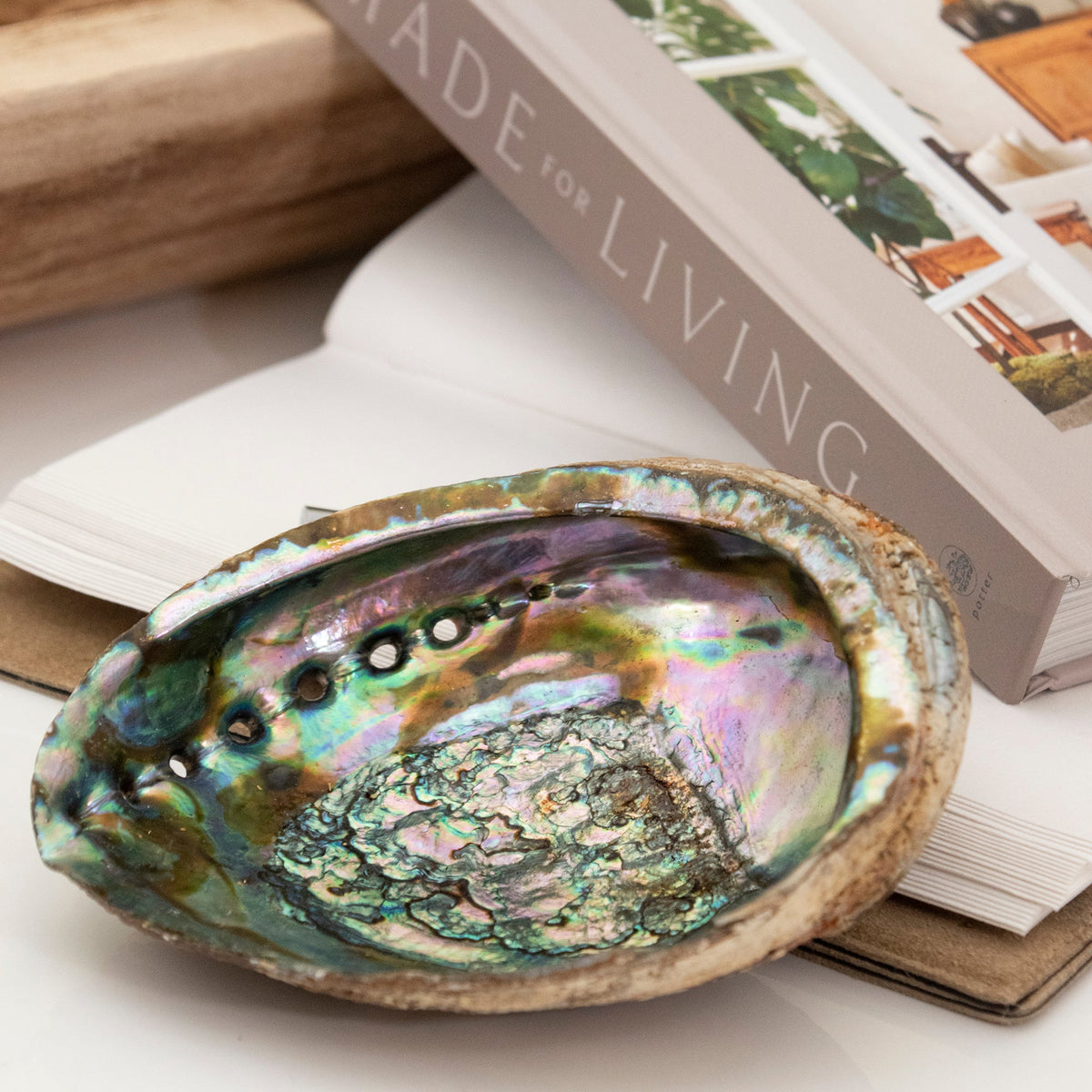 Abalone Shell