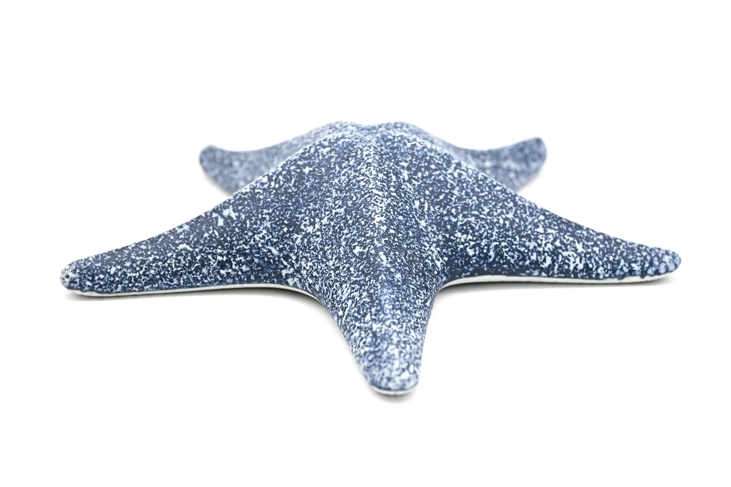 Seaside Serenity Porcelain Starfish Decorative Accent