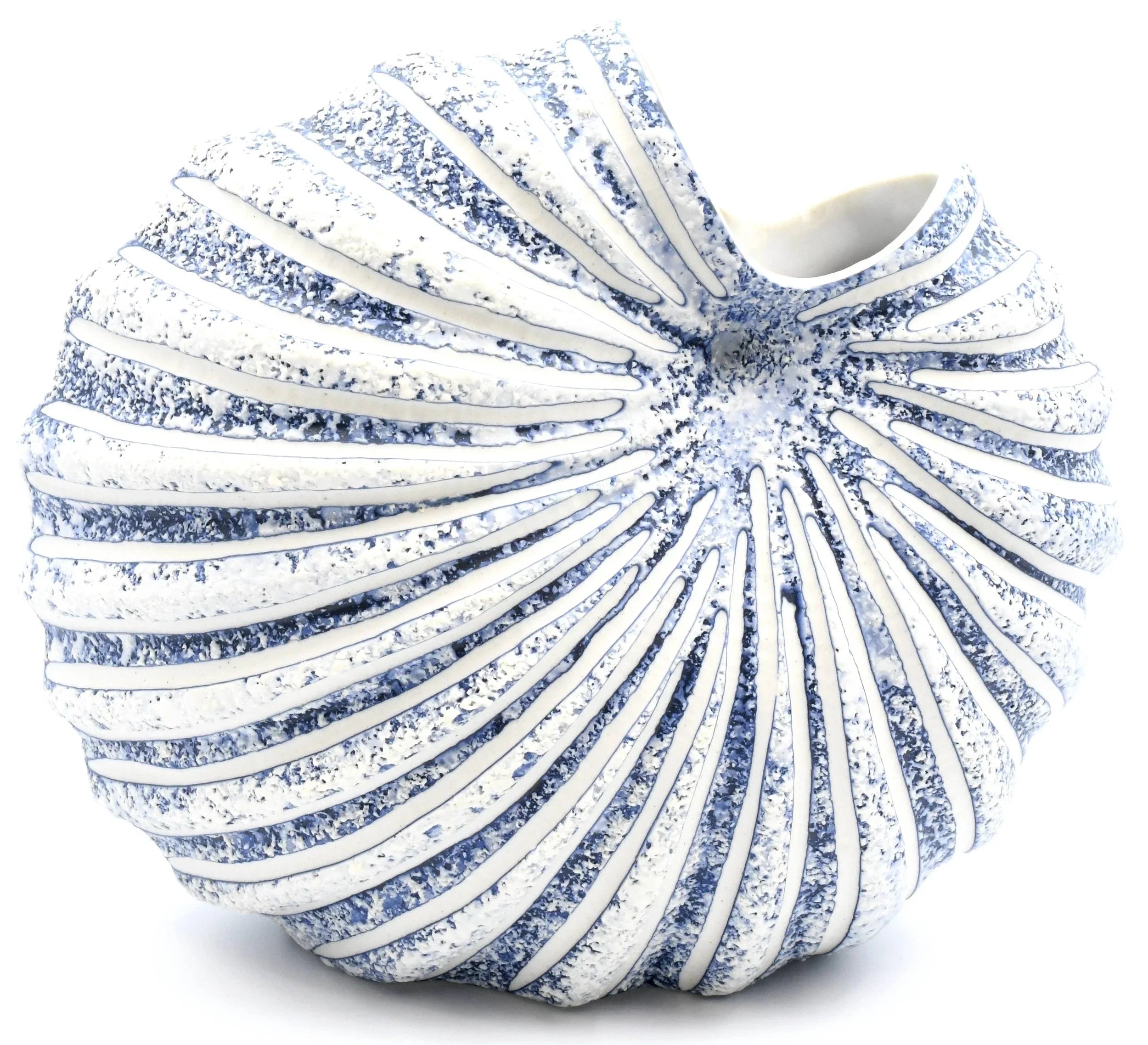 Ocean Muse Porcelain Cockle Shell Vase