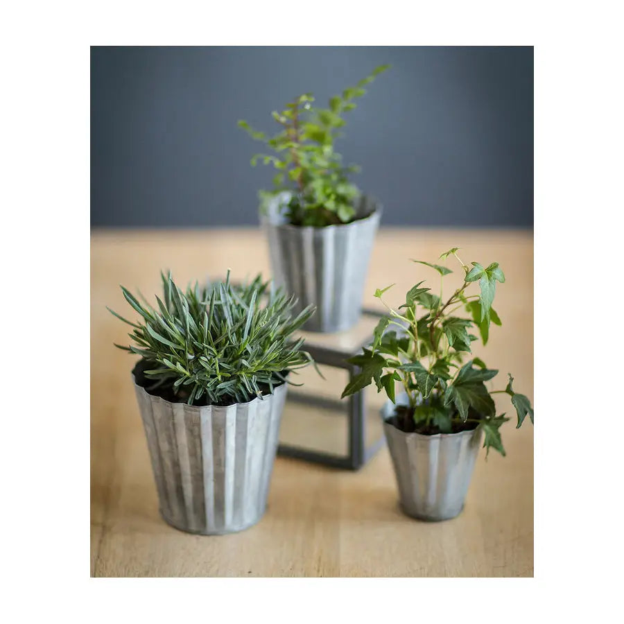 Set of Three Tin Pots