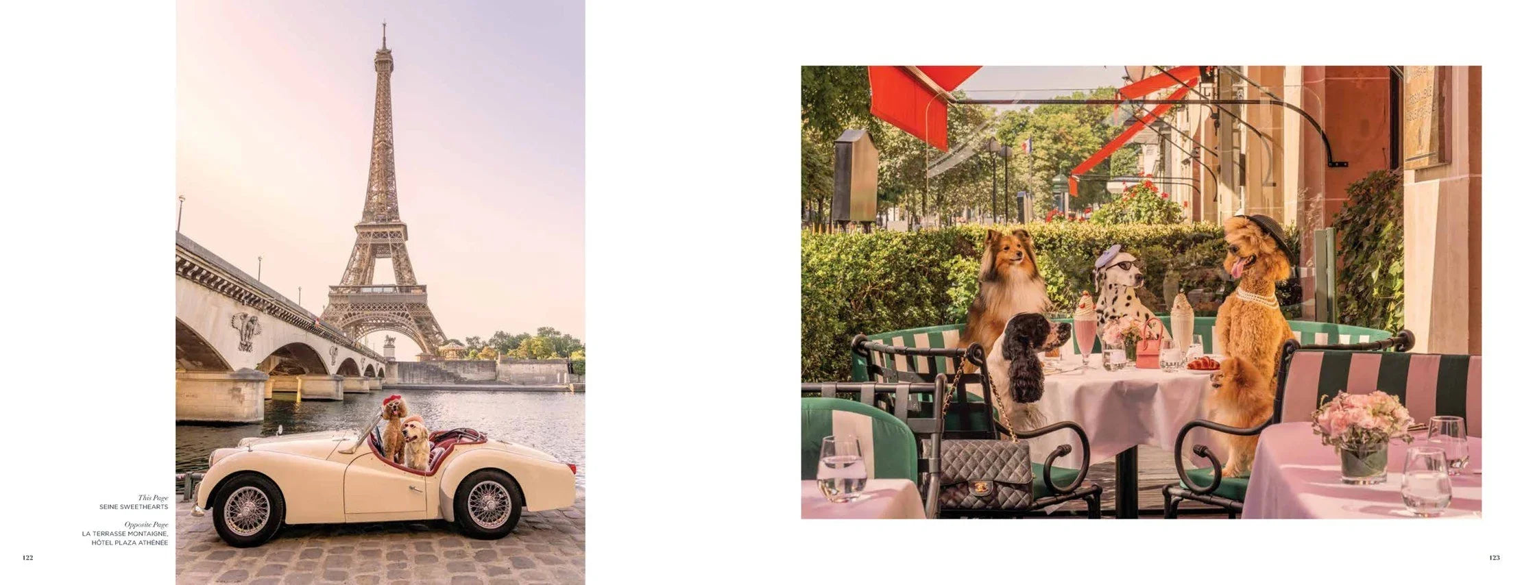 Gray Malin "Dogs" Hardcover Fine Art Photography Coffee Table Book