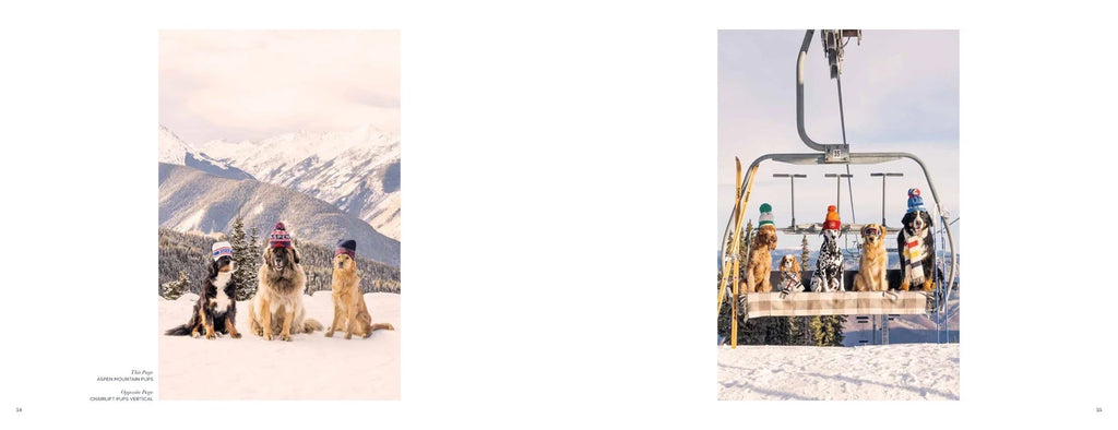 Gray Malin "Dogs" Hardcover Fine Art Photography Coffee Table Book