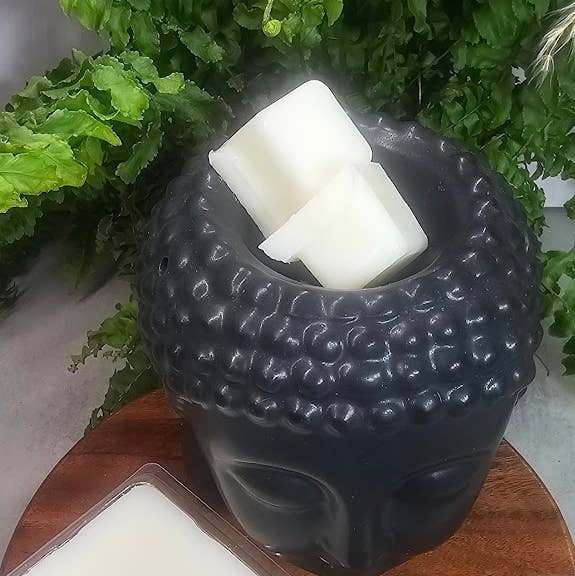 Coastal Collection Wax Melts Clamshell Saltroot Apothecary 68.04 g