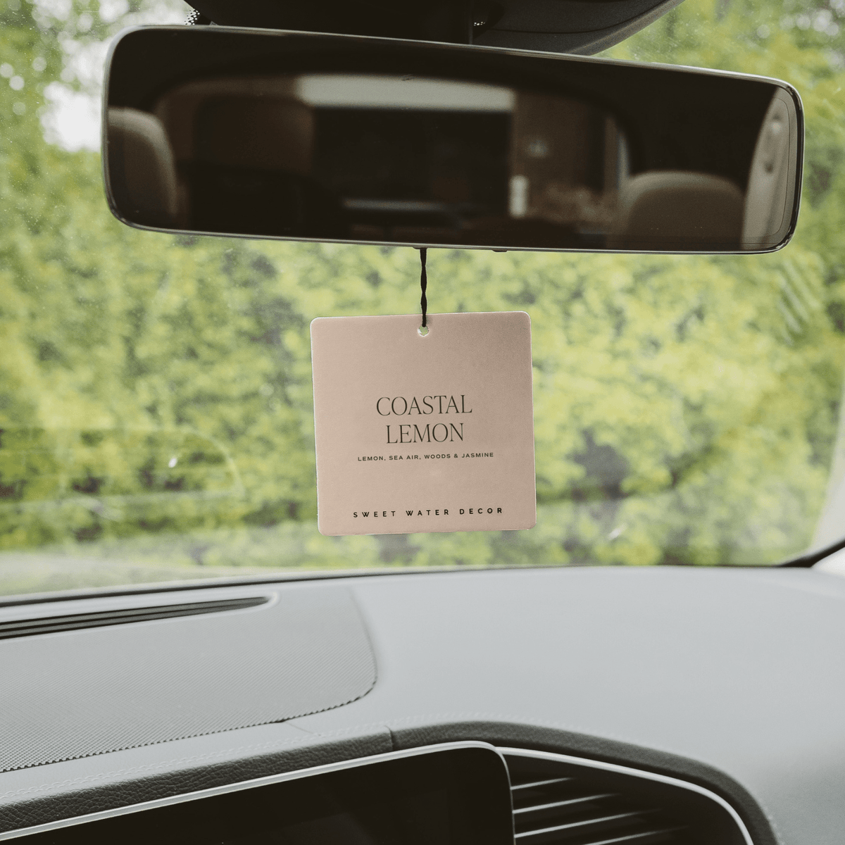 Coastal Lemon Hanging Air Freshener