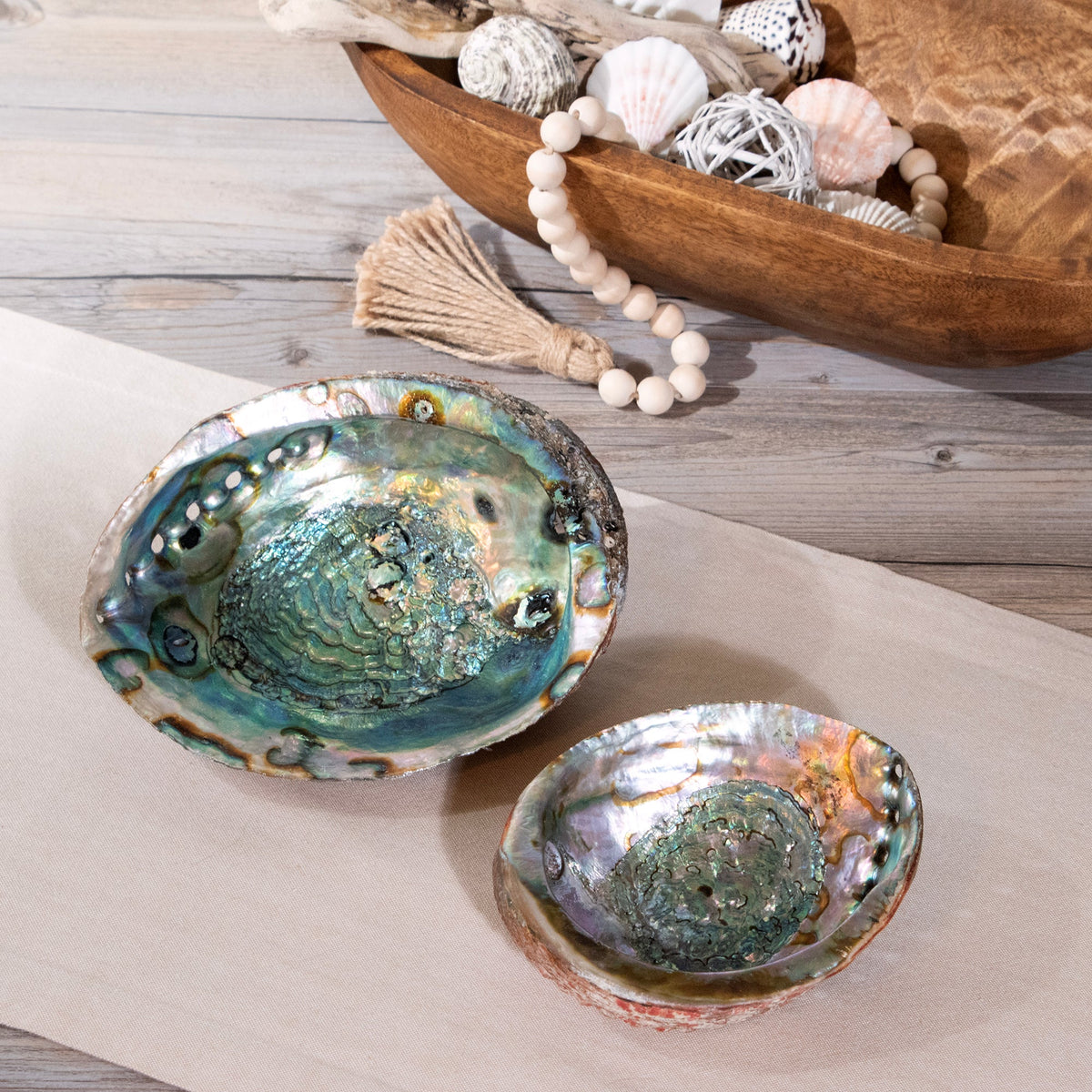 Abalone Shell