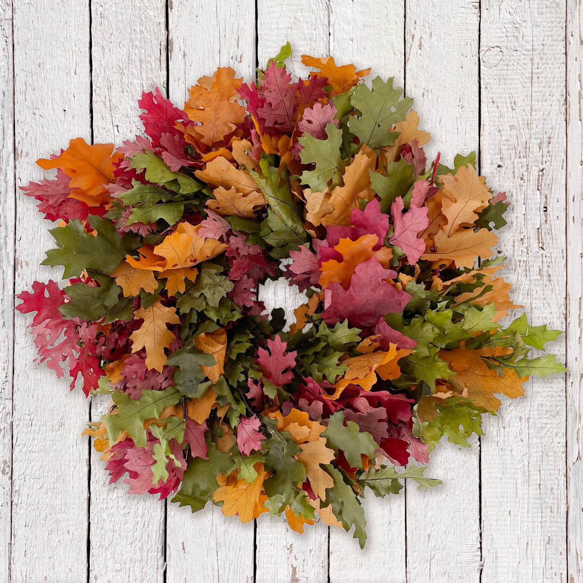 Auburn Harvest Oak Leaf Natural Wreath