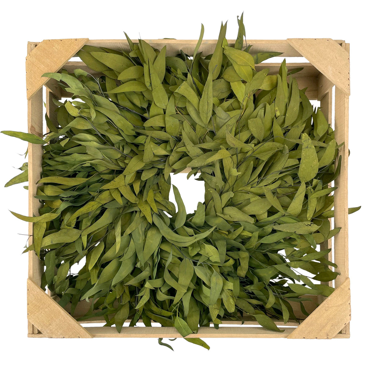 Harvest Farmhouse Willow Wreath: Olive Green Color