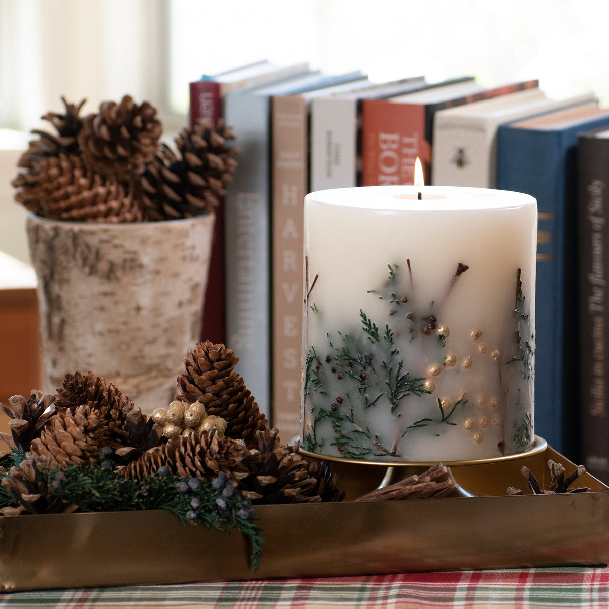 Evergreen Pine Botanical Candle