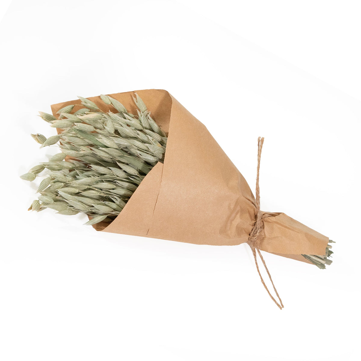 MINI Aveena Bundle