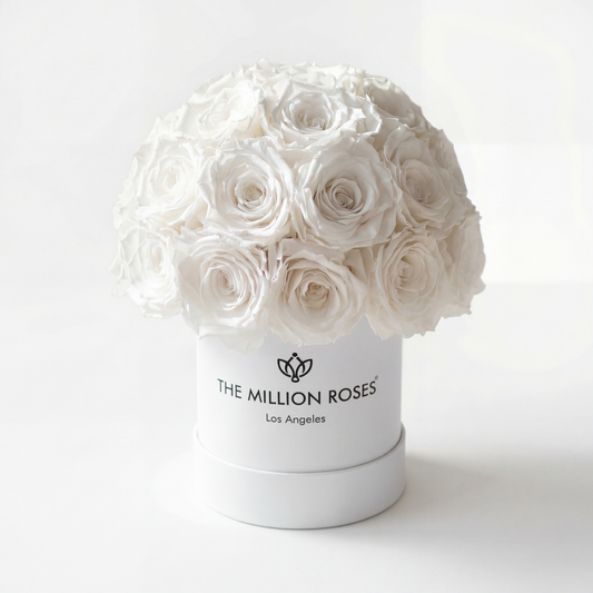 Essence White Superdome Box | Rose bianche
