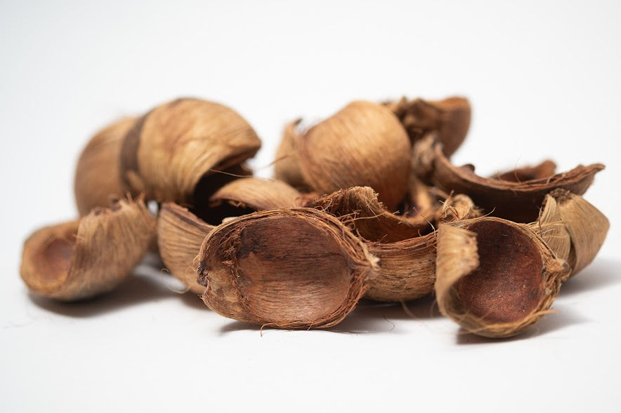 Betel Nut Husks