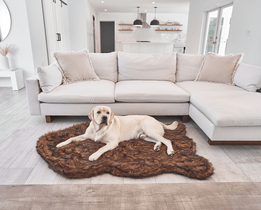 Lit orthopédique pour chien en fausse fourrure PupRug par Paw.com® - Curve Marron
