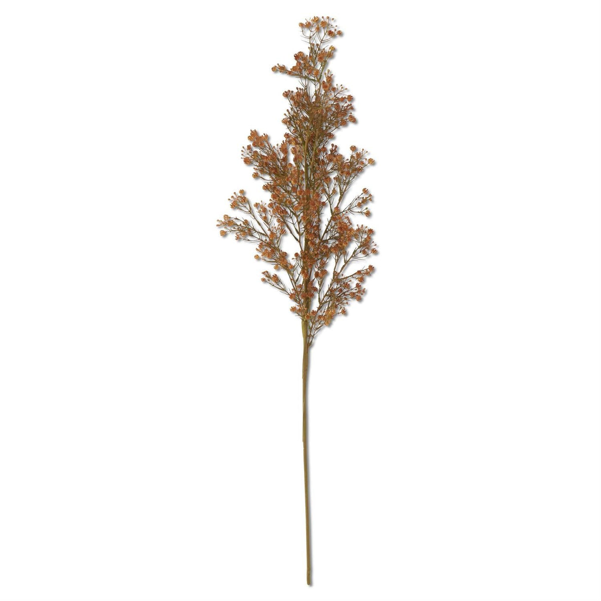 Golden Brown Baby's Breath Stem – 41"