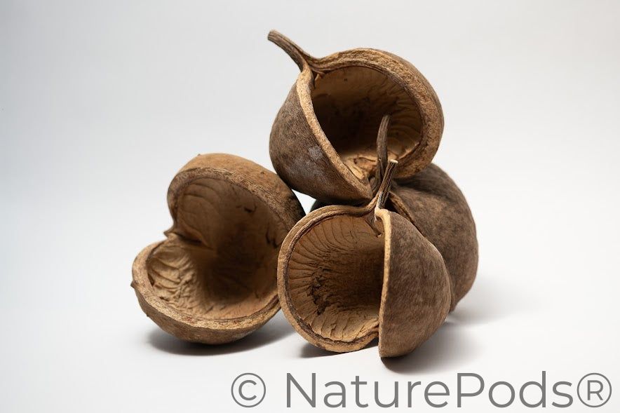 Buddha Nuts