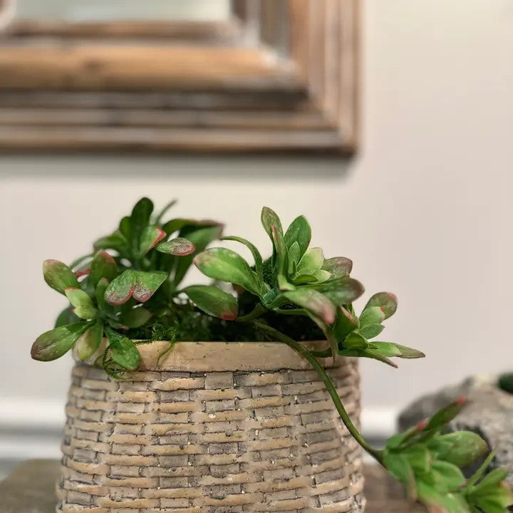 Narrow Cement Basket Planter