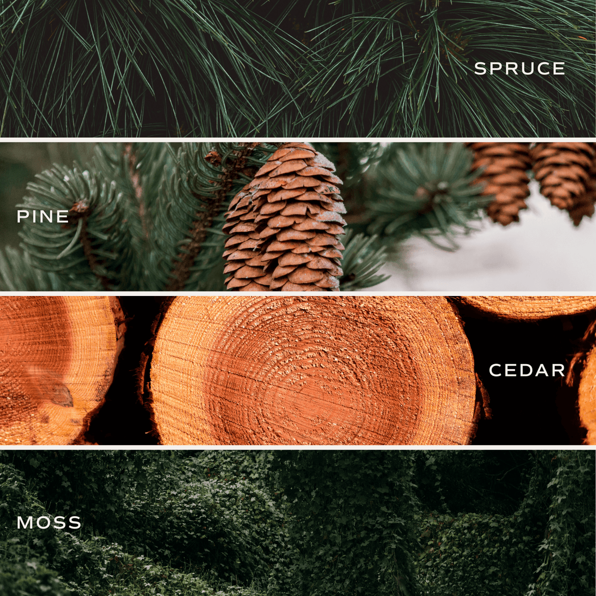 Holiday Cheer Soy Candle - Olive Matte Jar - 15 oz (Christmas Tree)