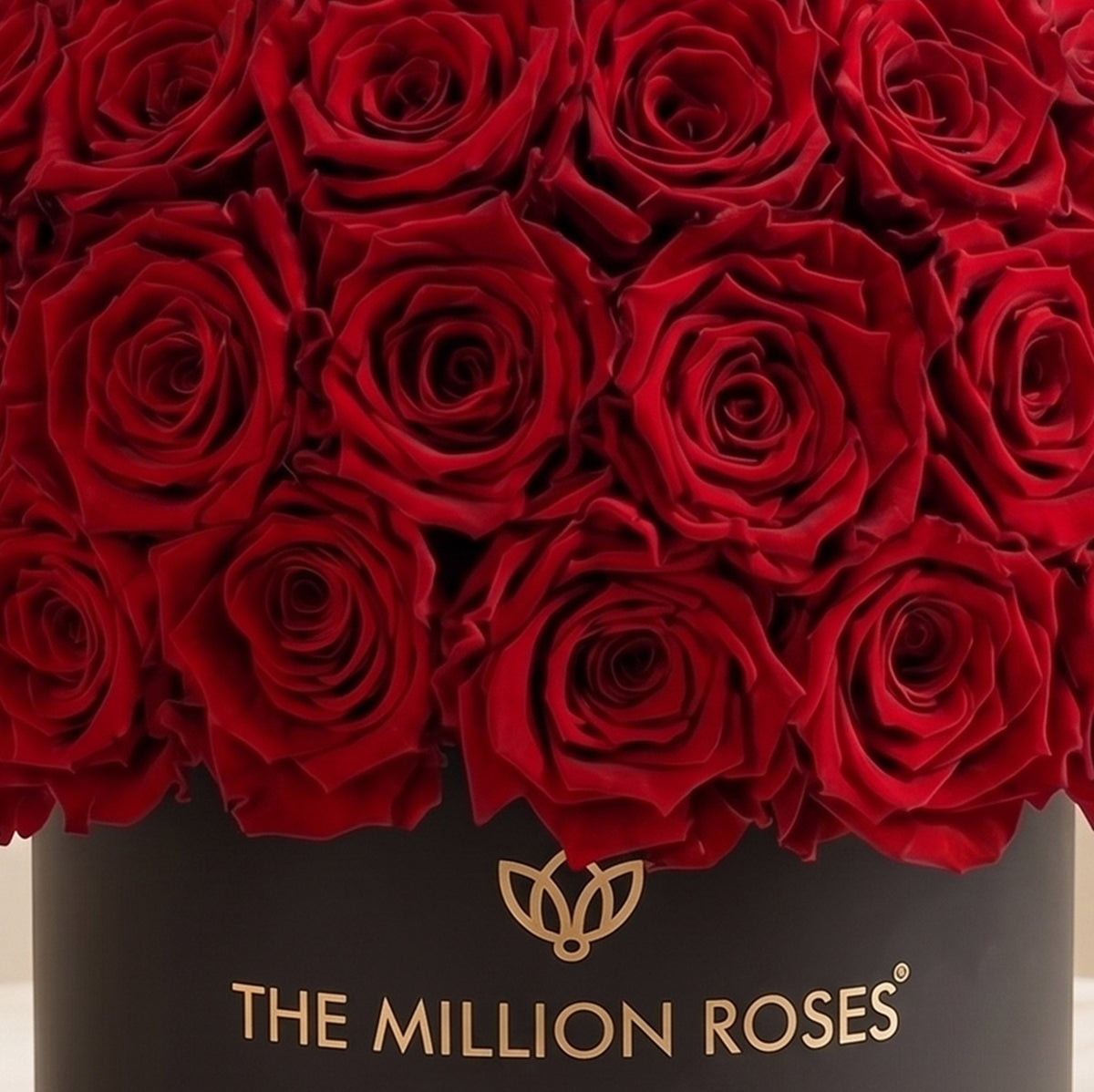 Boîte Superdome noire classique | Roses rouges