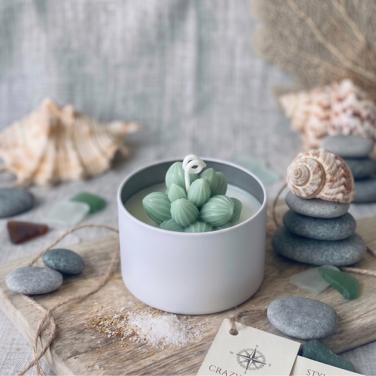 Candela a grappolo con succulenta color salvia