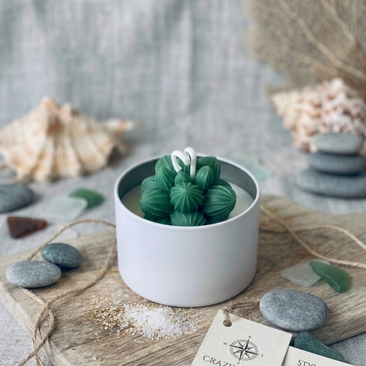 Candela succulenta foglia di smeraldo
