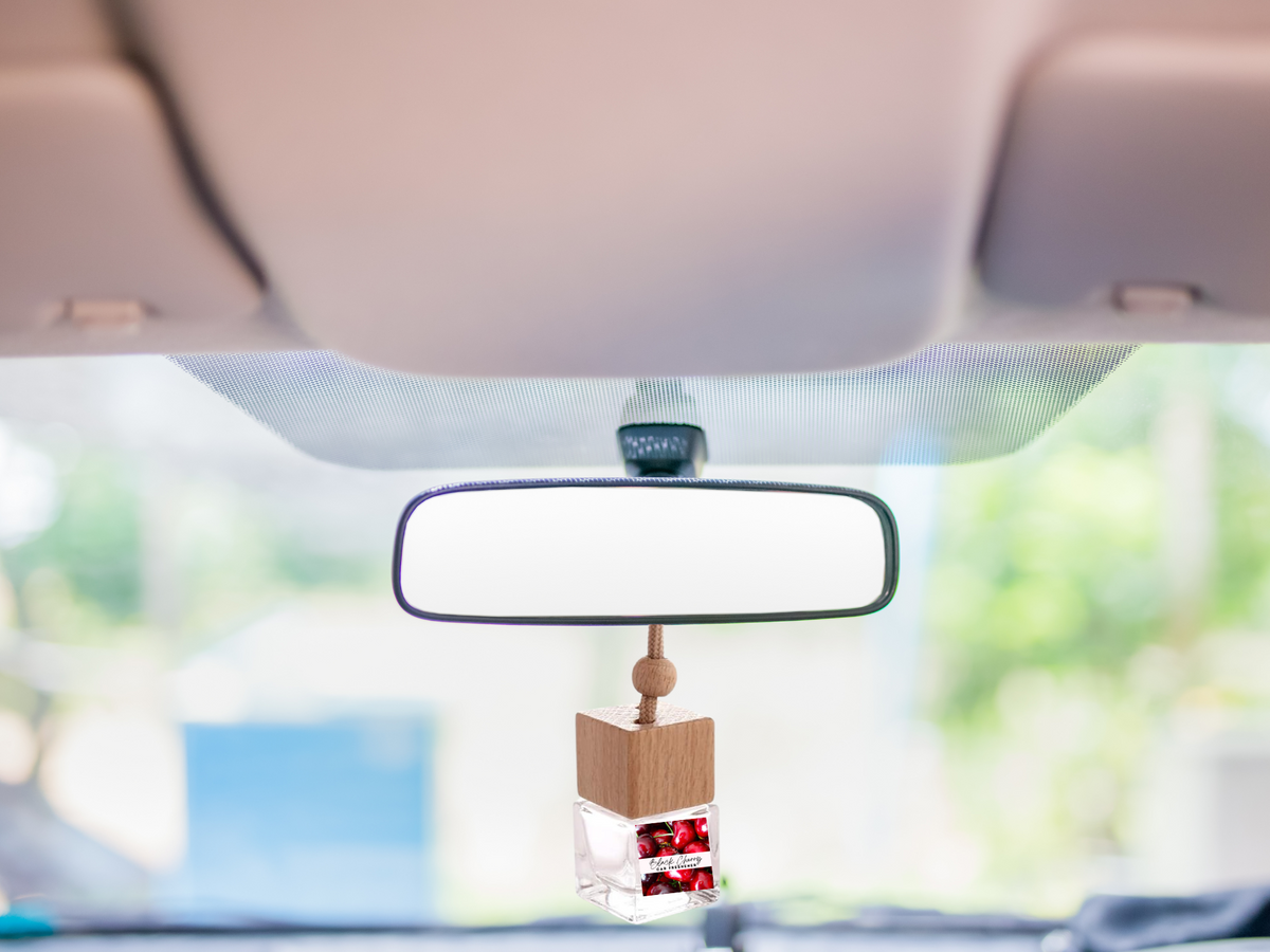 Fruity & Juicy Hanging Car Freshener Collection – Sweet & Tropical Scents