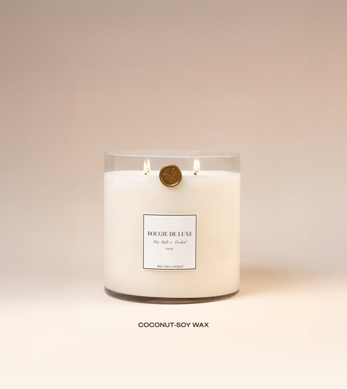 150 oz Sea Salt & Orchid Candle
