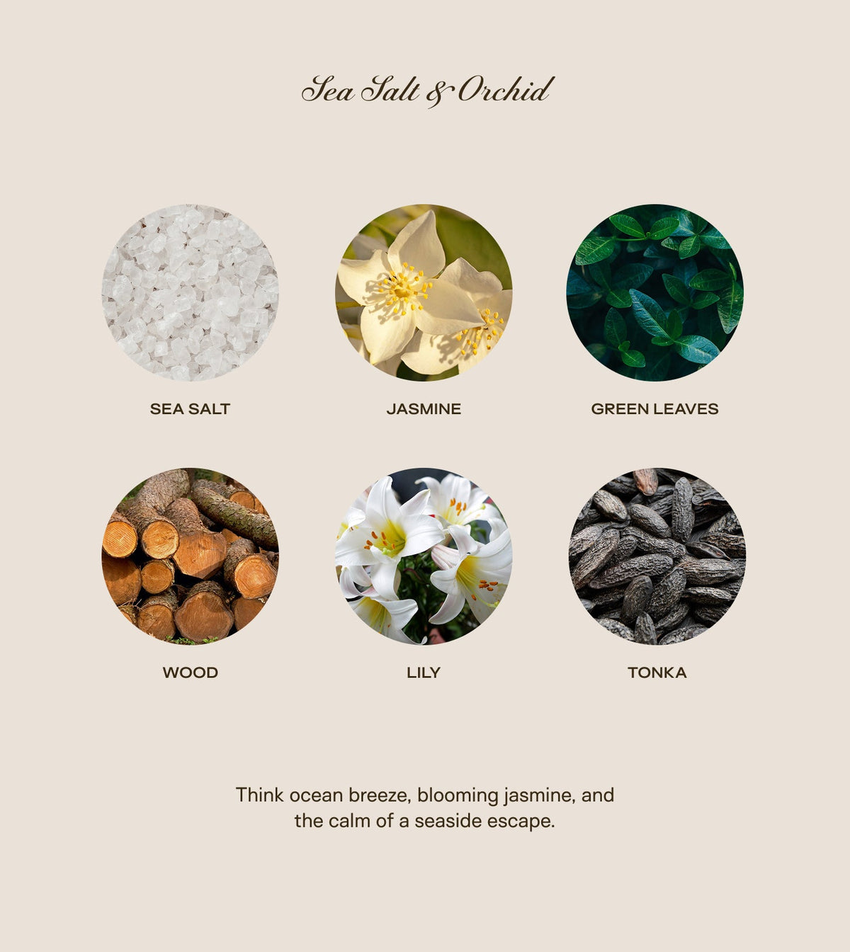 150 oz Sea Salt & Orchid Candle