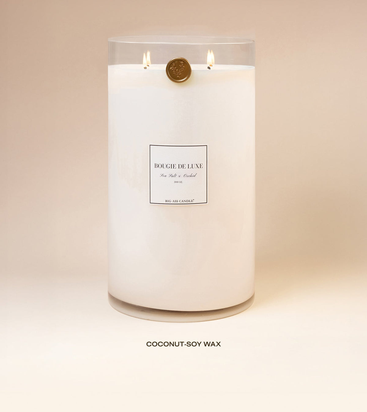 300 oz Sea Salt & Orchid Scented Candle