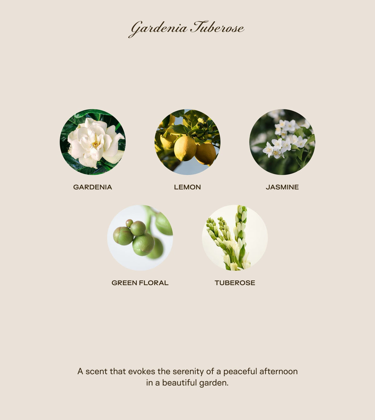 300 oz Gardenia Tuberose Scented Candle