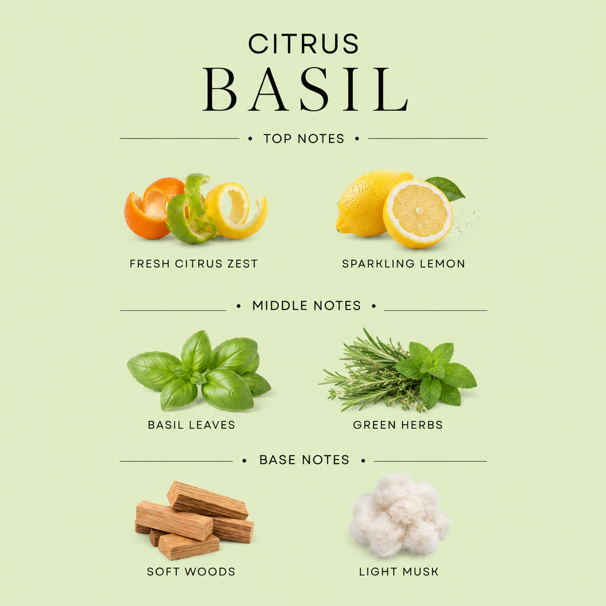 Citrus Basil Hand Soap