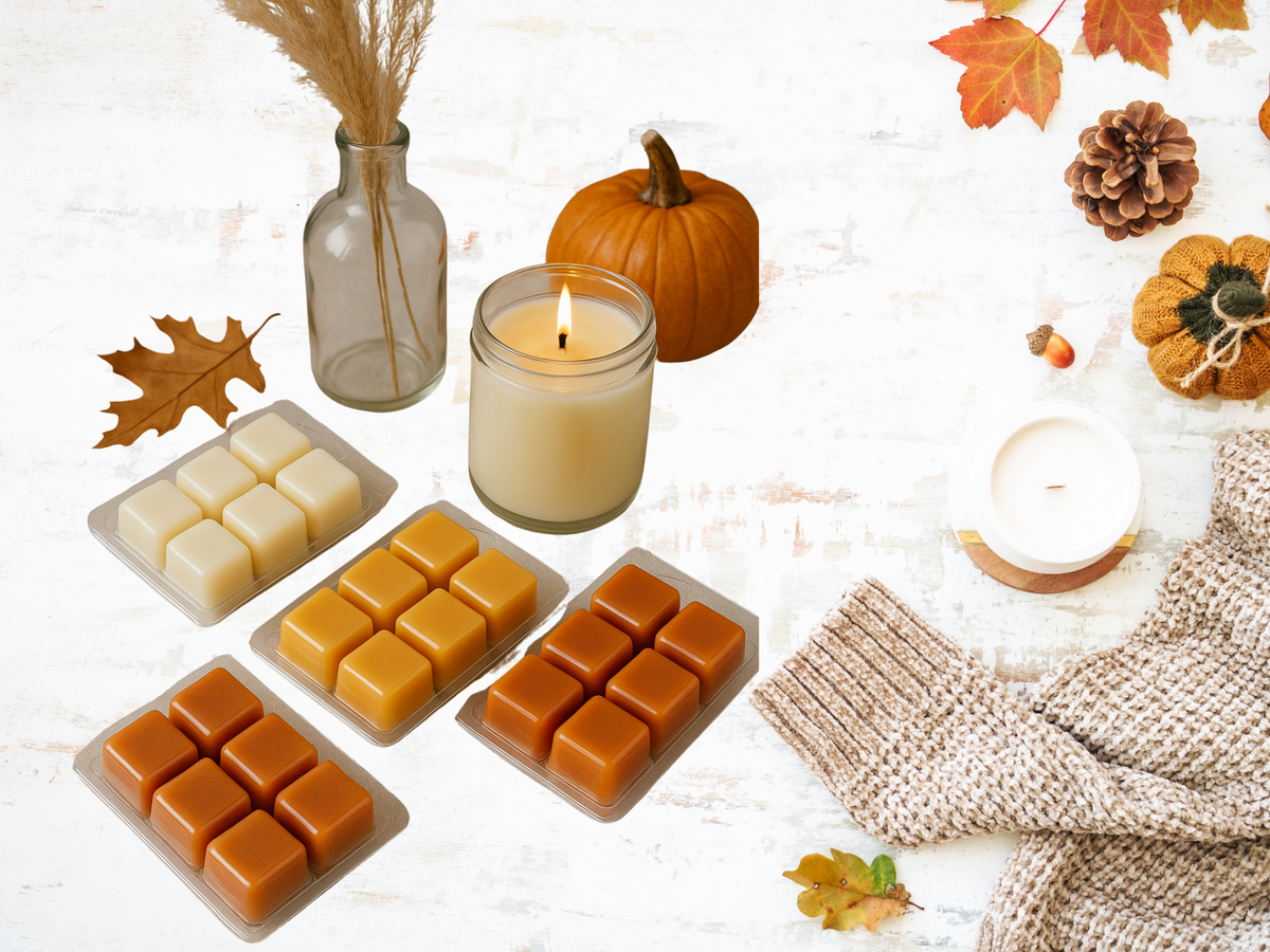 Clamshell Wax Melts – Fall & Winter | Cozy, Woodsy & Spiced Scents