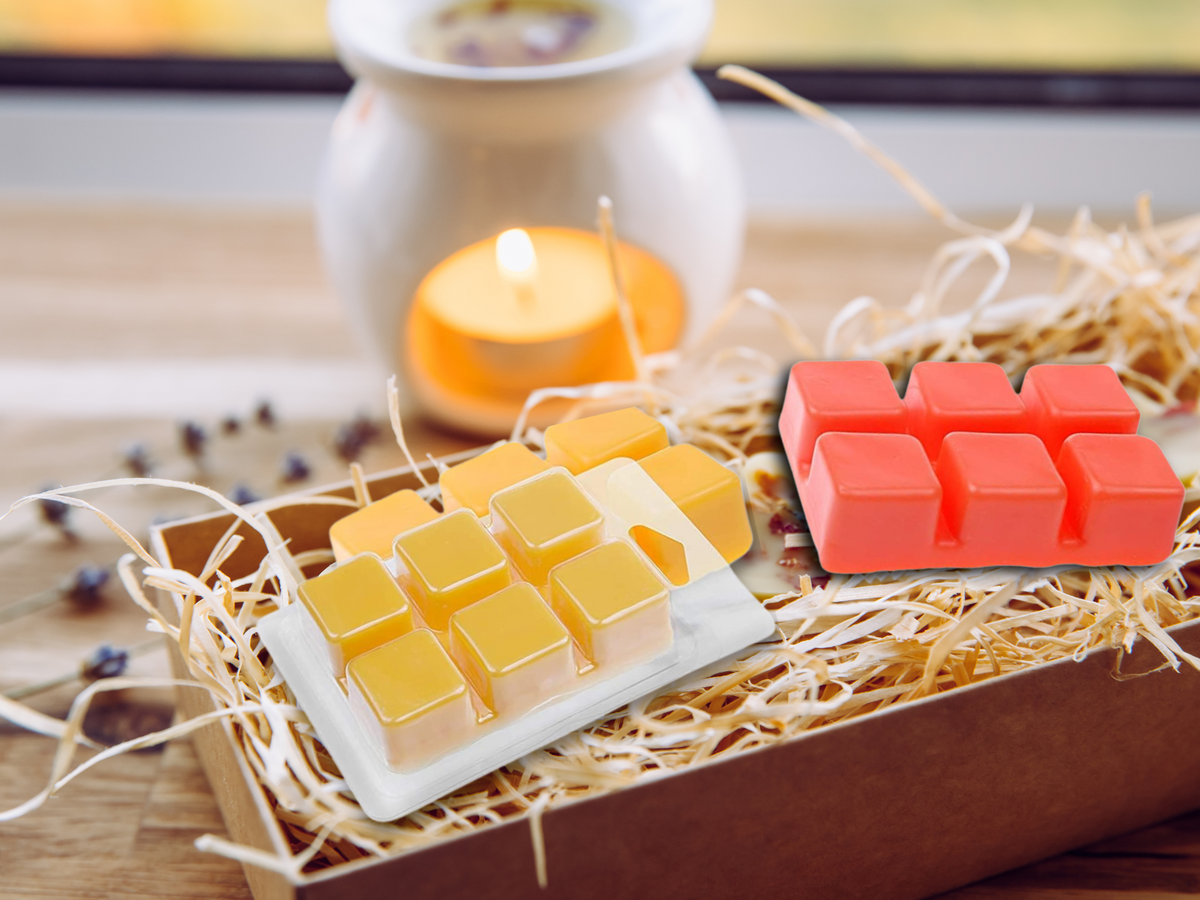 Clamshell Wax Melts – Fall & Winter | Cozy, Woodsy & Spiced Scents