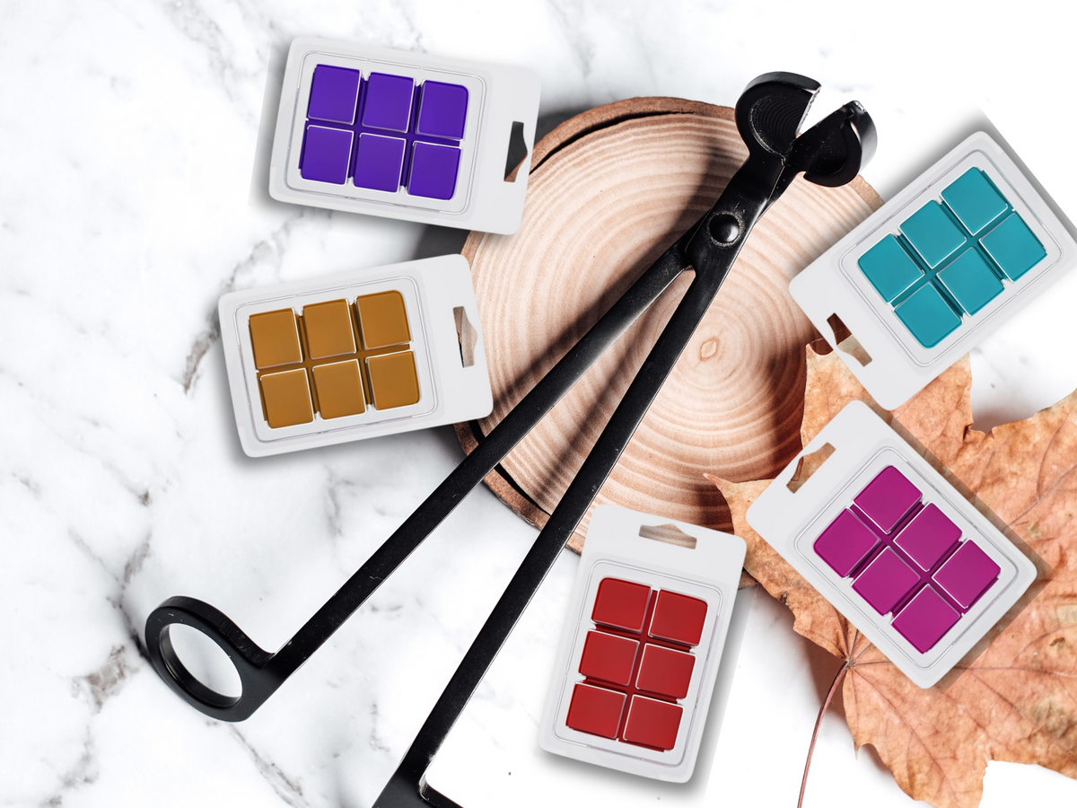 Clamshell Wax Melts – Fall & Winter | Cozy, Woodsy & Spiced Scents