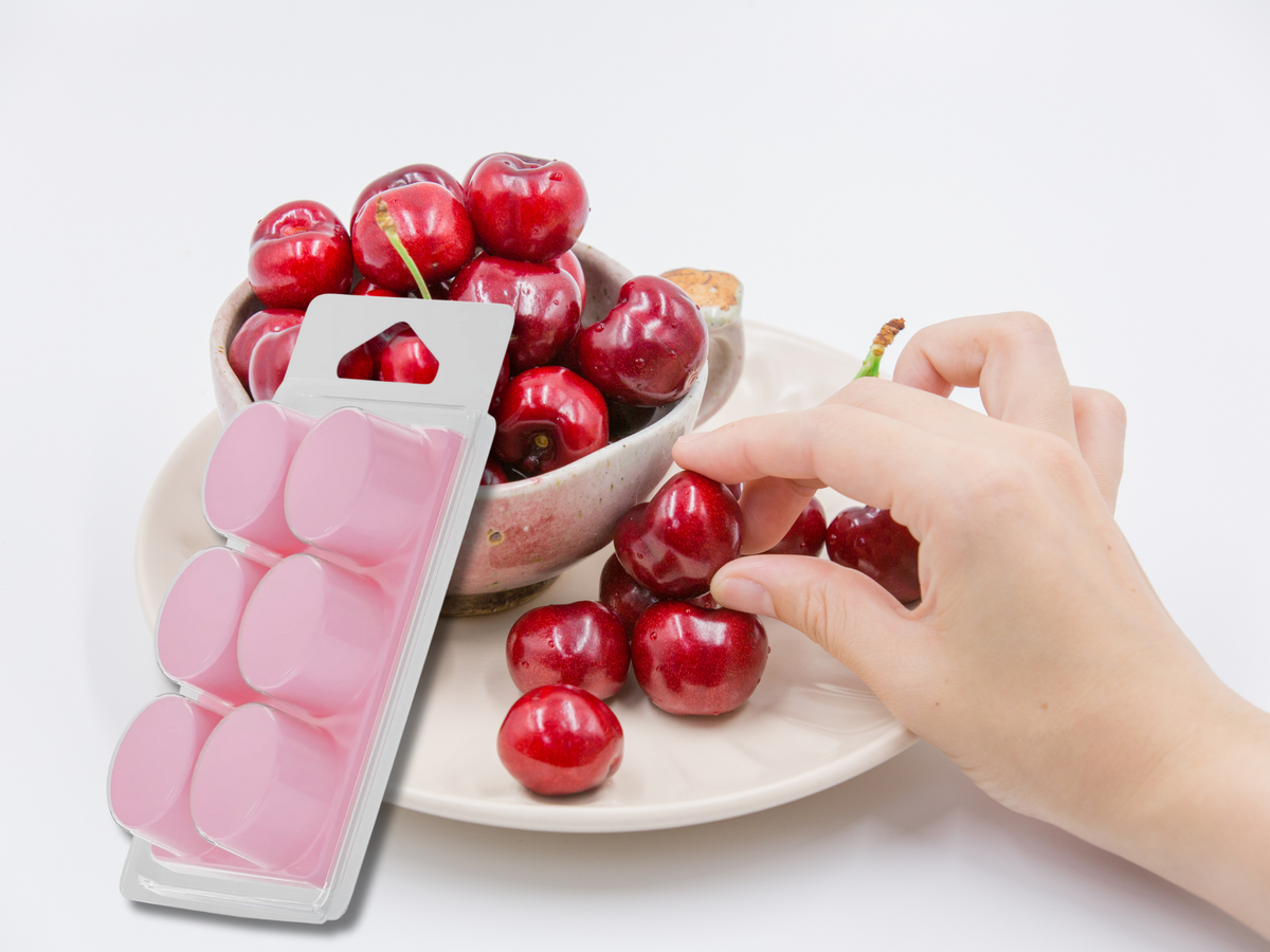 Clamshell Wax Melts – Best-Selling Scents | Signature Collection
