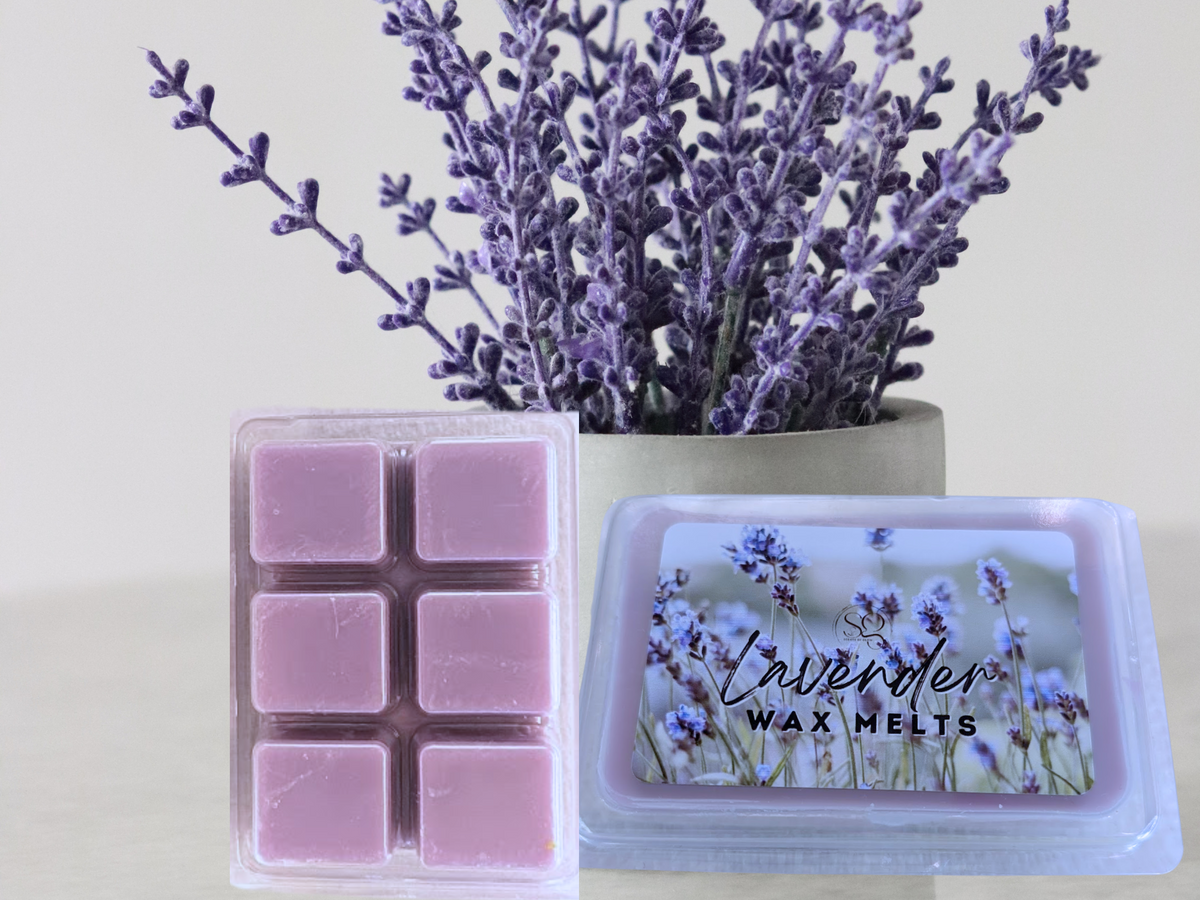 Clamshell Wax Melts – Best-Selling Scents | Signature Collection