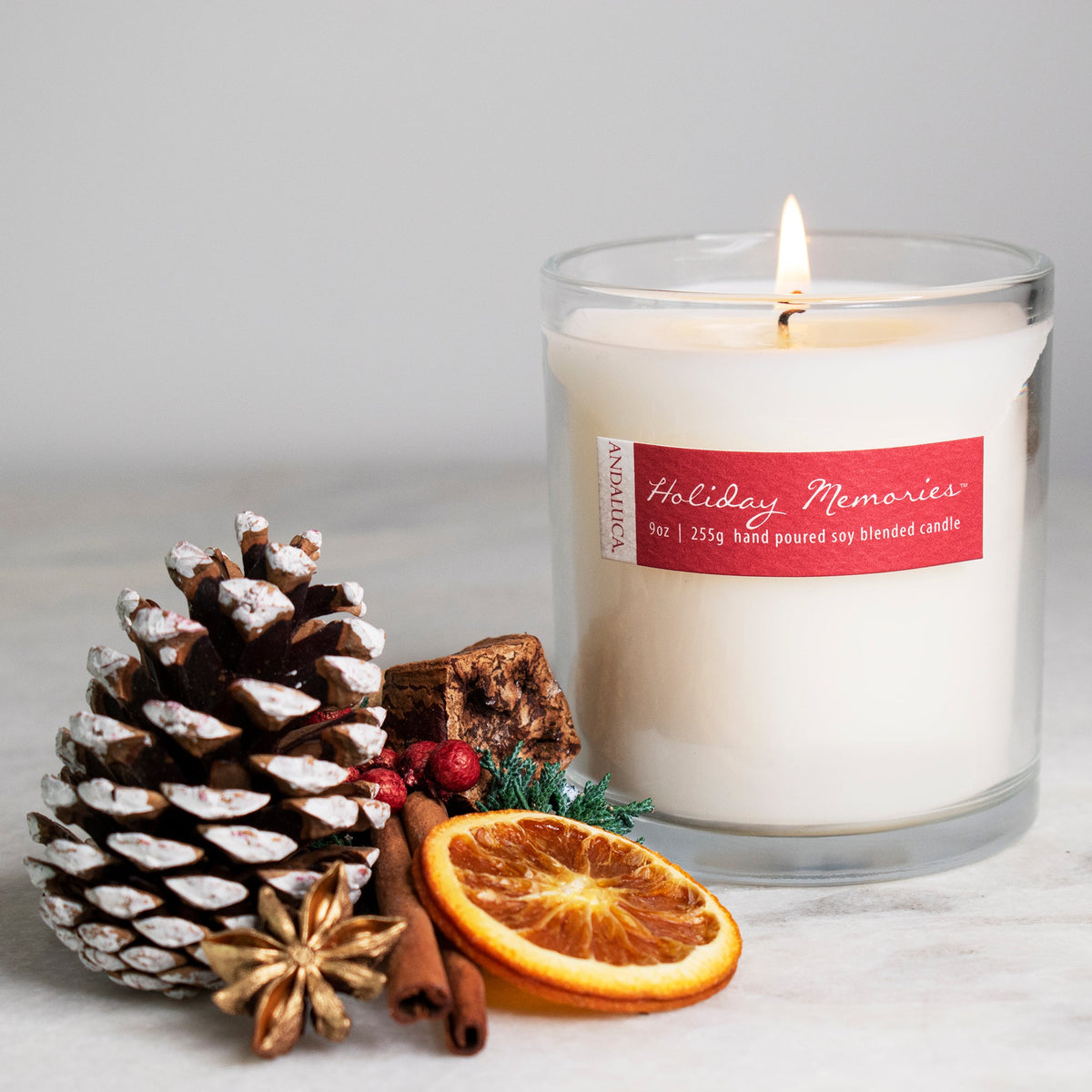 Holiday Memories 9oz Candle