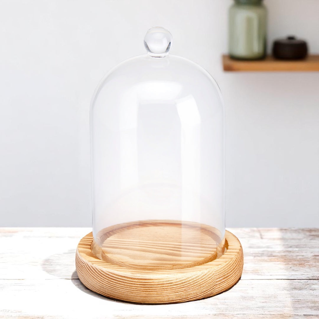 Cloche Glass Bell Jar with Solid Wood Base NEW SIZE