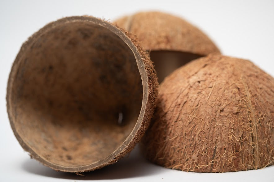 Coconut Shell Half