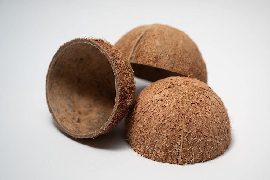 Coconut Shell Half