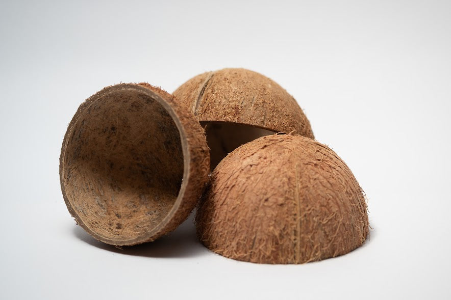 Coconut Shell Half