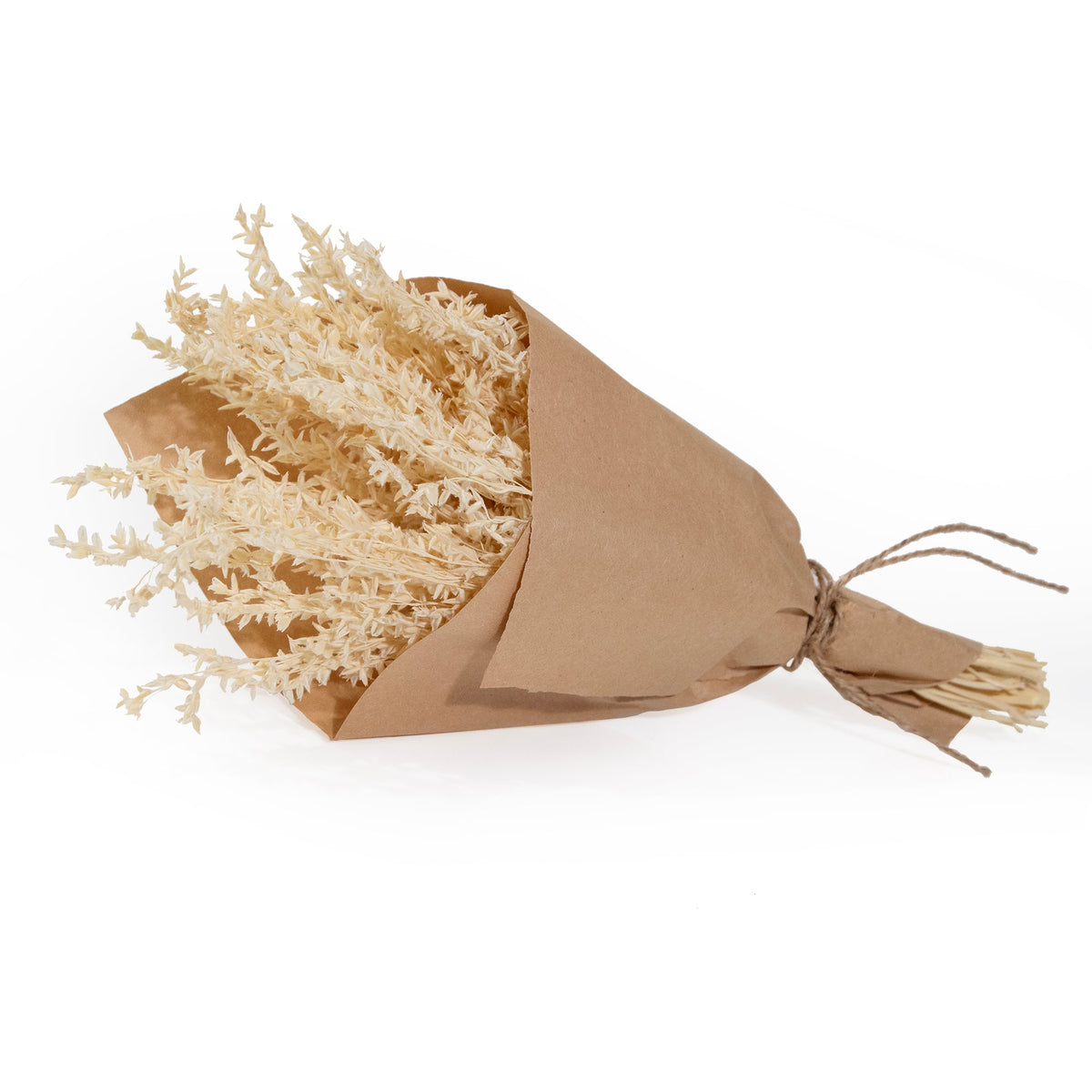 MINI Corn Broom Grass Bundle