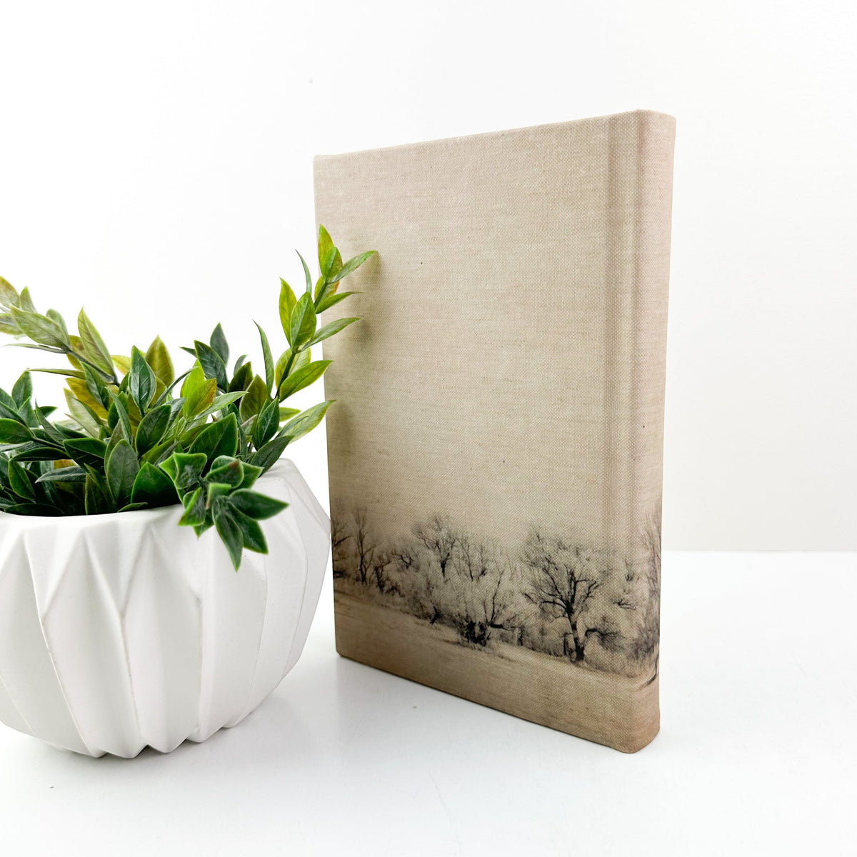 Motif Book- Aged Terrain