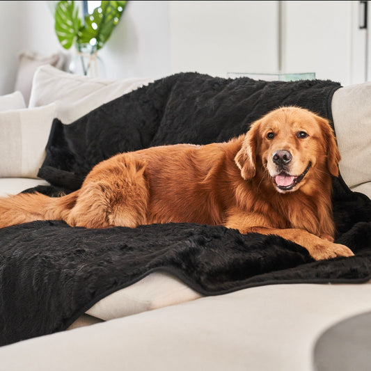 Couverture imperméable à poil court pour l'été PupProtector™ - Noir minuit