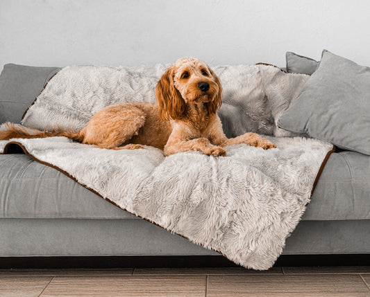 Coperta impermeabile a pelo corto per l'estate PupProtector™ - Grigio