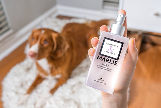 Spray éliminateur d'odeurs pour animaux Marlie Mist aux huiles essentielles